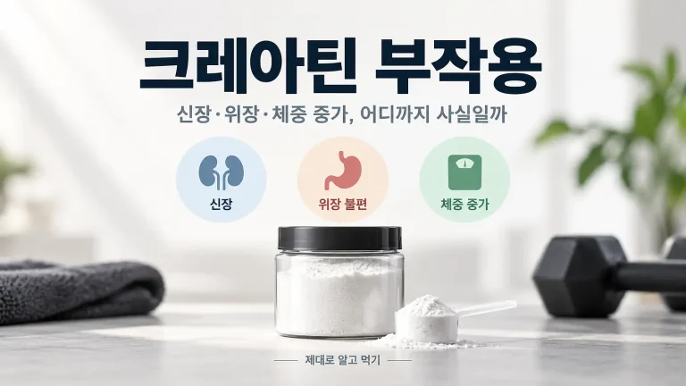 크레아틴 부작용 신장 위장 체중 증가 안전성 핵심 정리