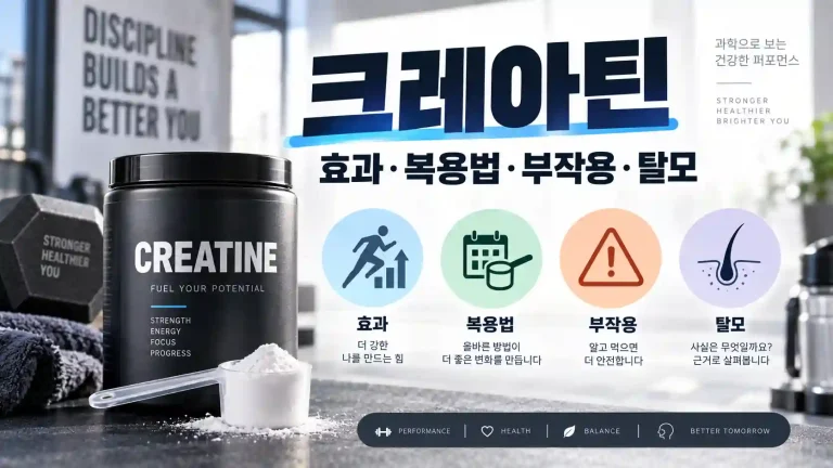 크레아틴 효과 복용법 부작용 탈모를 한눈에 정리한 대표 이미지