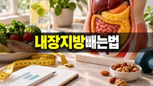 내장지방빼는법 복부 구조 모형과 식단 기록 운동 도구를 담은 실사형 대표이미지